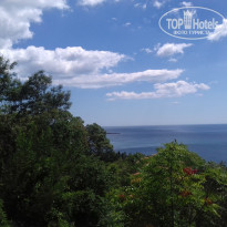 фото из отзыва ID 1470379