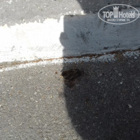 фото из отзыва ID 1470379