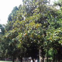 фото из отзыва ID 1470379