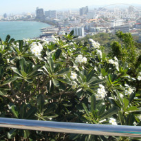 фото из отзыва ID 1472144