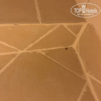 фото из отзыва ID 1480000