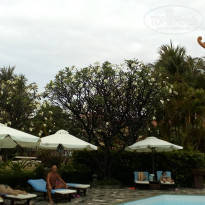 фото из отзыва ID 1480115