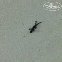 фото из отзыва ID 1480124