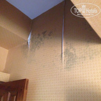 фото из отзыва ID 1480073