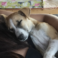 фото из отзыва ID 1480316