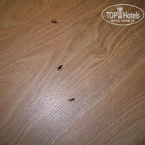 фото из отзыва ID 1480350