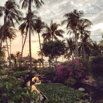 фото из отзыва ID 1480362