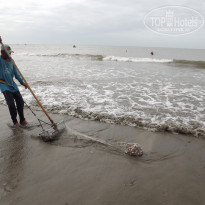 фото из отзыва ID 1480362