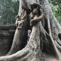 фото из отзыва ID 1480372