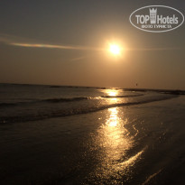 фото из отзыва ID 1480374