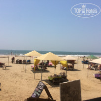 фото из отзыва ID 1480374