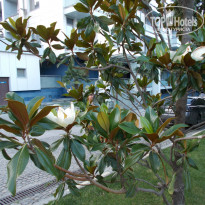 фото из отзыва ID 1480471