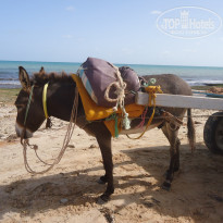 фото из отзыва ID 1480582