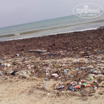 фото из отзыва ID 1480720