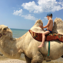 фото из отзыва ID 1480891