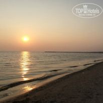 фото из отзыва ID 1480891