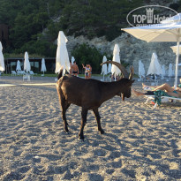 фото из отзыва ID 1480999