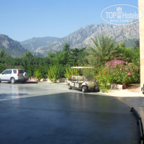 фото из отзыва ID 1481034