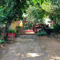 фото из отзыва ID 1481060