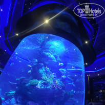 фото из отзыва ID 1481064