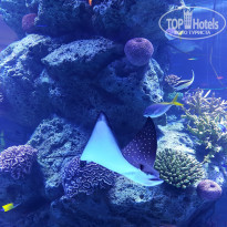 фото из отзыва ID 1481064