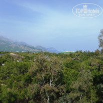 фото из отзыва ID 1481068