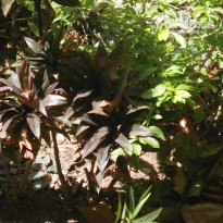 фото из отзыва ID 1481070