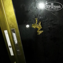 фото из отзыва ID 1481070