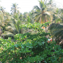 фото из отзыва ID 1481178