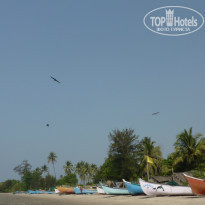 фото из отзыва ID 1481076