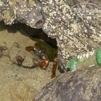 фото из отзыва ID 1481076