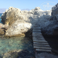 фото из отзыва ID 1481201