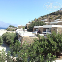 фото из отзыва ID 1481201