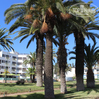 фото из отзыва ID 1481302