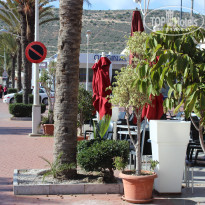 фото из отзыва ID 1481302