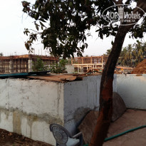 фото из отзыва ID 1481365