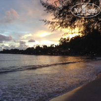 фото из отзыва ID 1481459