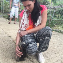 фото из отзыва ID 1481464