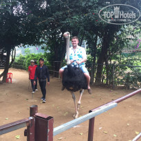 фото из отзыва ID 1481464