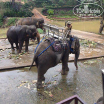 фото из отзыва ID 1481464