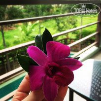 фото из отзыва ID 1481561