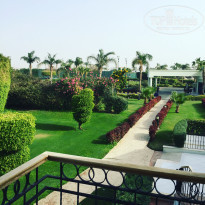 фото из отзыва ID 1481585