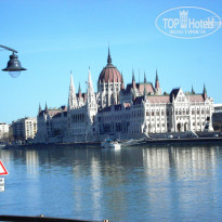 фото из отзыва ID 1481041