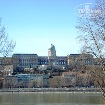 фото из отзыва ID 1481041