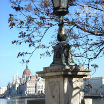 фото из отзыва ID 1481041