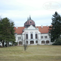 фото из отзыва ID 1481041