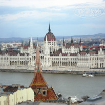 фото из отзыва ID 1481041