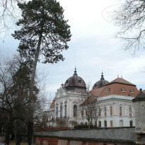 фото из отзыва ID 1481041