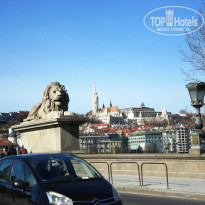 фото из отзыва ID 1481041