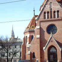 фото из отзыва ID 1481041